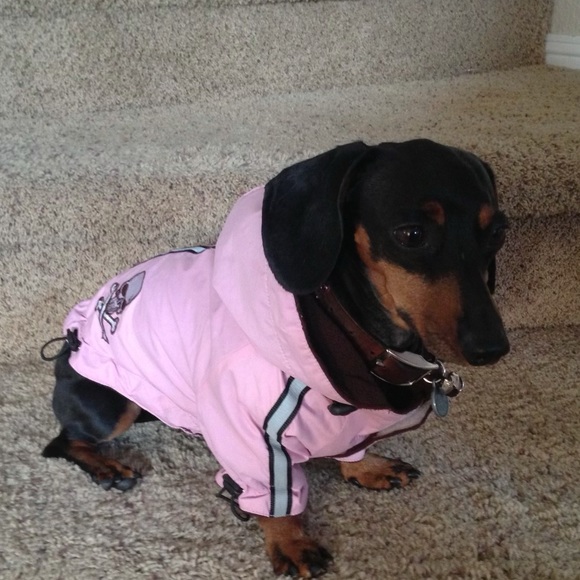 Hip Doggie Velcro closure jacket with hood Small - Picture 3 of 16